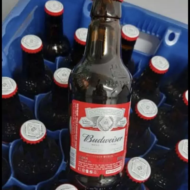 Budweiser Pack 23 und