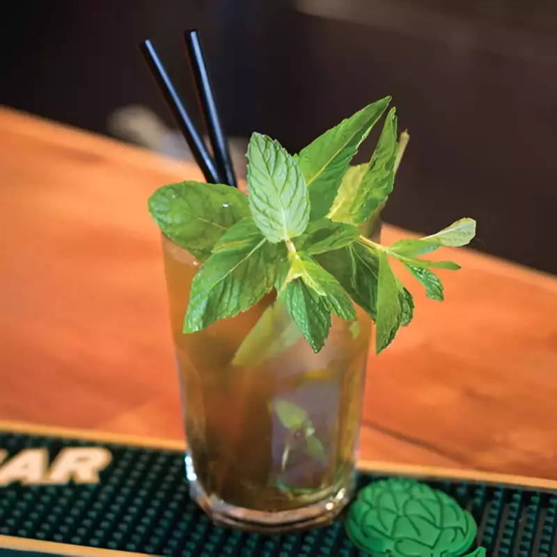 CYNAR JULEP