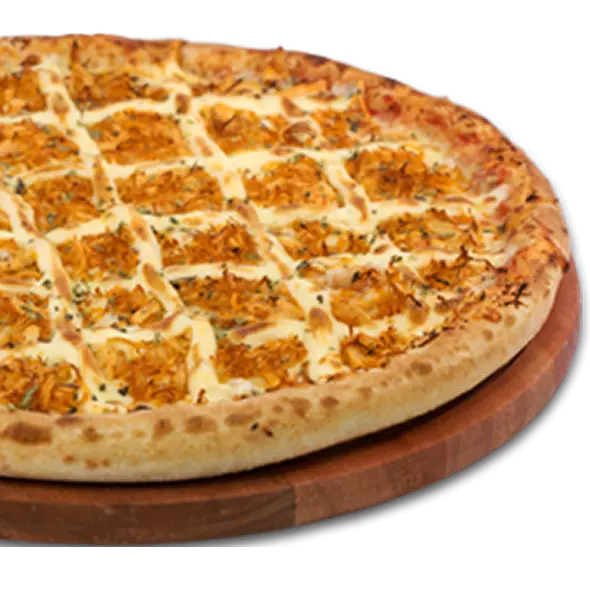FRANGO C/ CATUPIRY