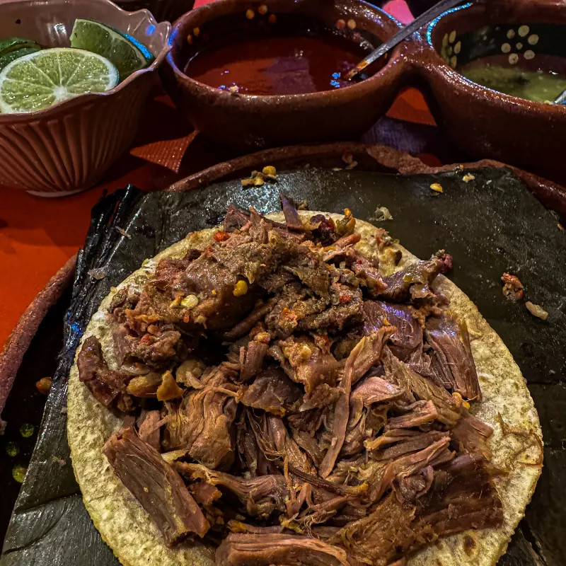TACO DE BARBACOA SURTIDO