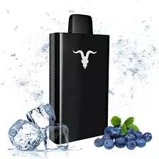 Ignite 5000 (blueberry ice)