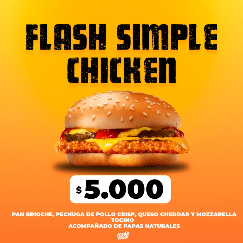 PROMO FLASH SIMPLE (CHICKEN)