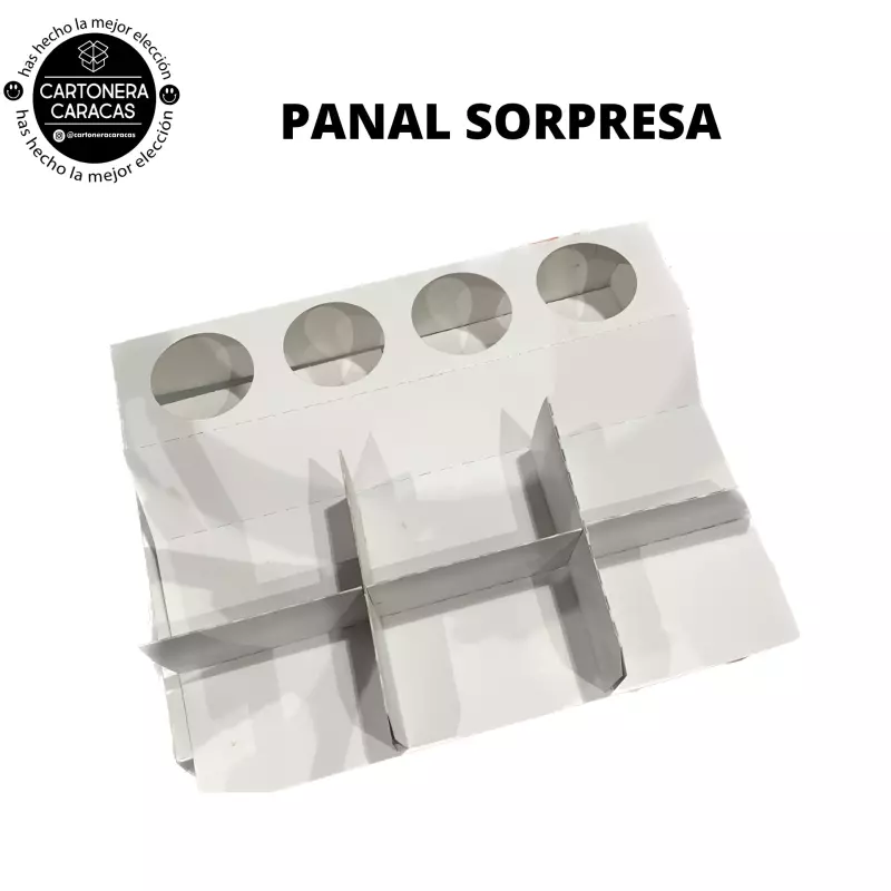 PANAL SORPRESA