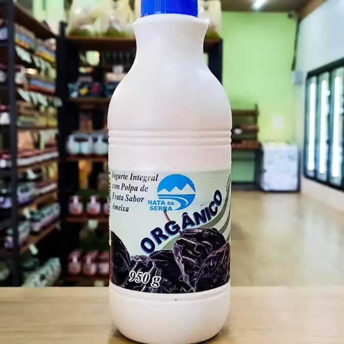 IORGUTE AMEIXA ORG. 950ml