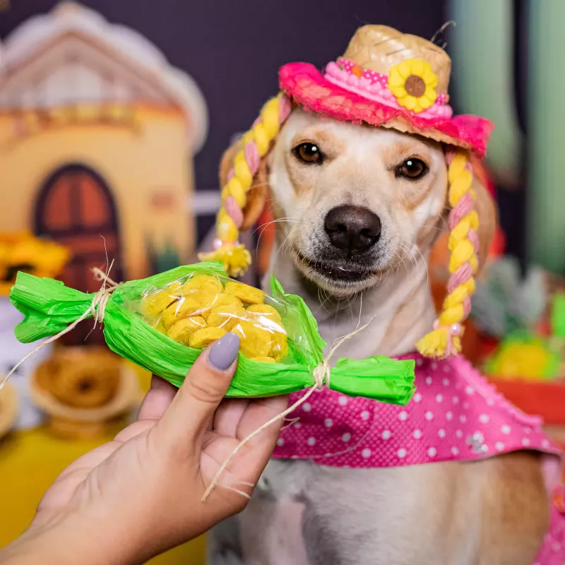 Doguinho da Porteira