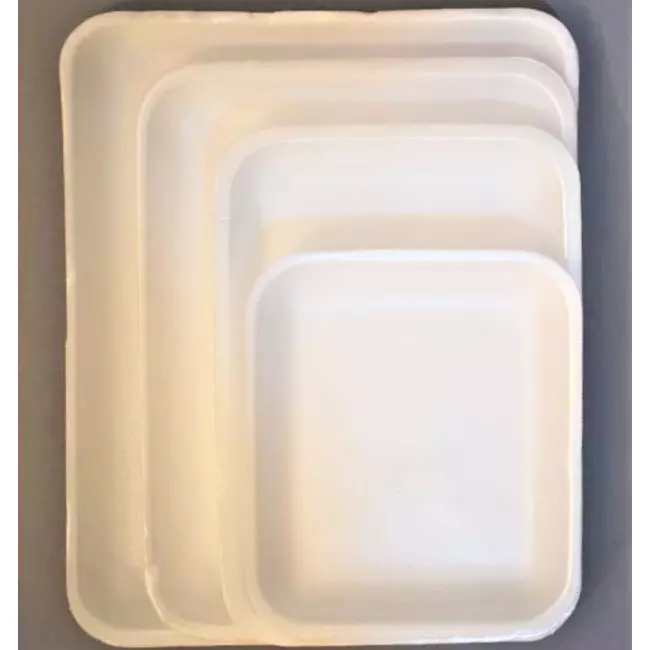 BANDEJA 2S PACK 10 UNIDADES