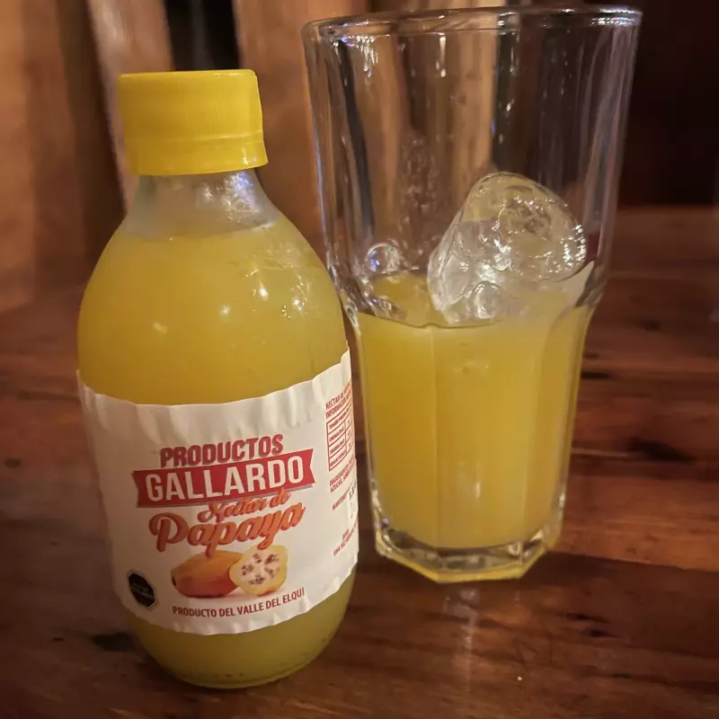 NÉCTAR DE PAPAYA ARTESANAL