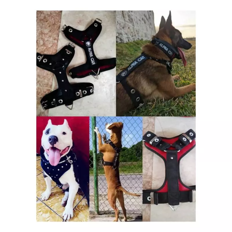 PECHERA PARA PERROS TIPO Y