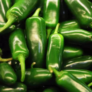 Jalapeños in Natura (fresco)