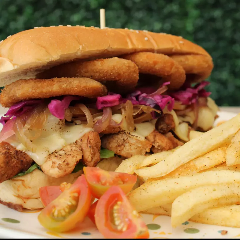 Pollo Teriyaki