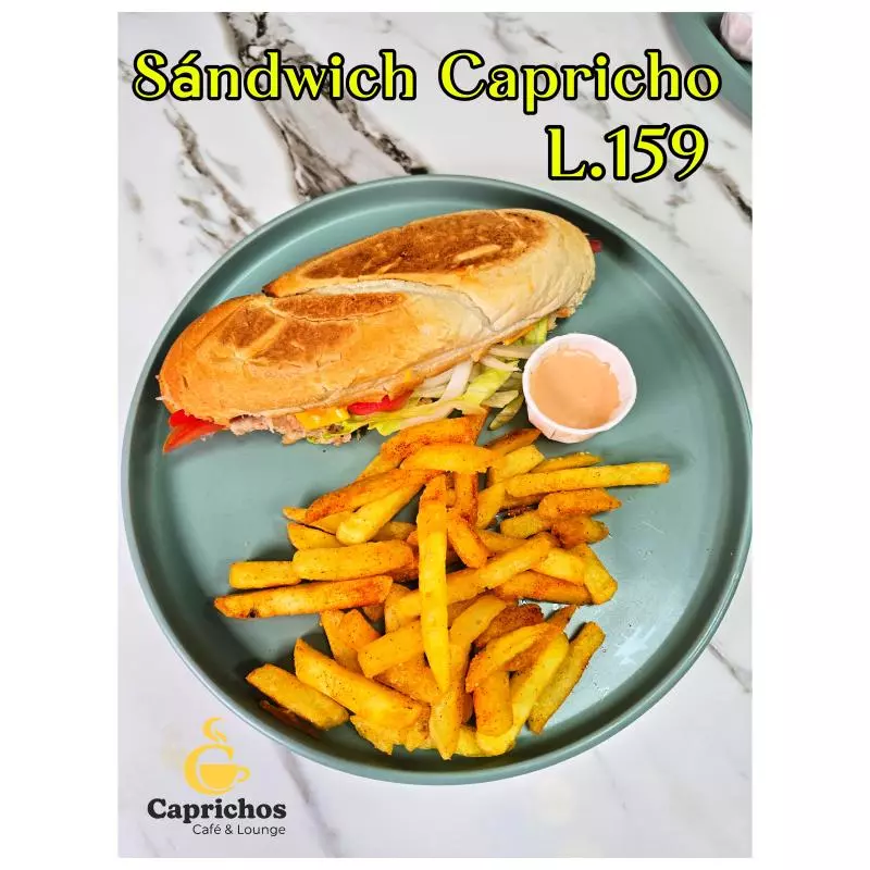 Sandandwich capricho