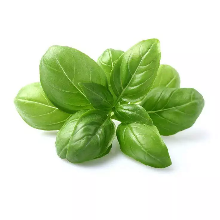 Albahaca Genovesa x250gr