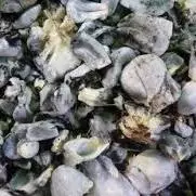 Huitlacohce