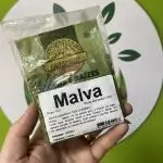 Malva