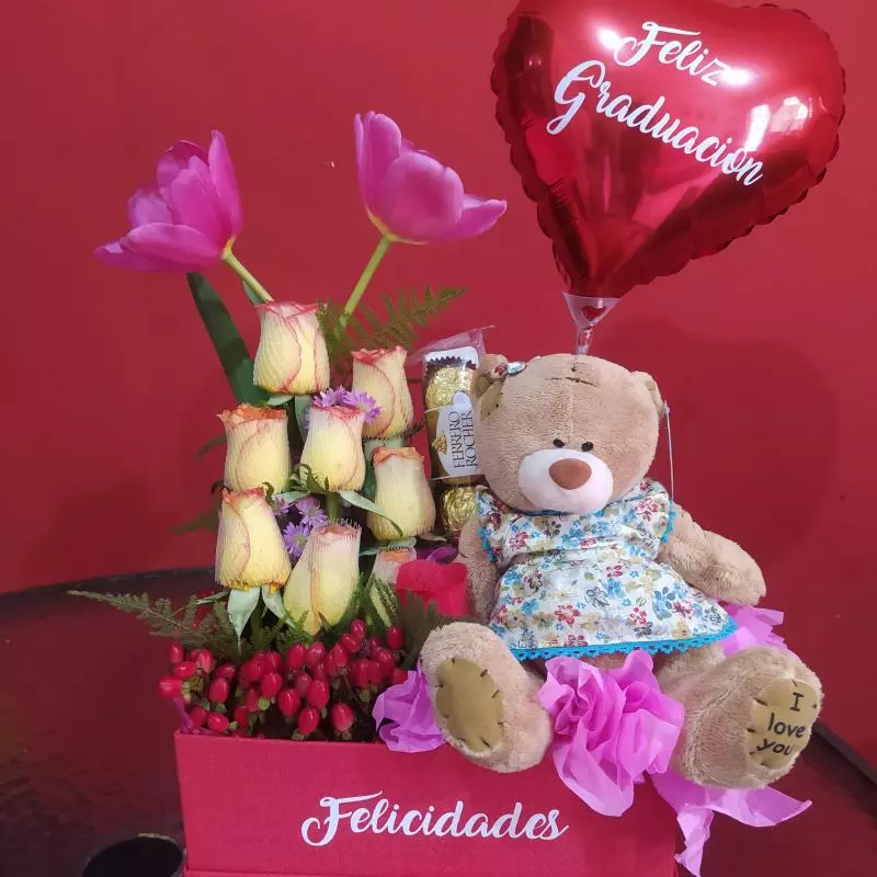 Box tulipanes