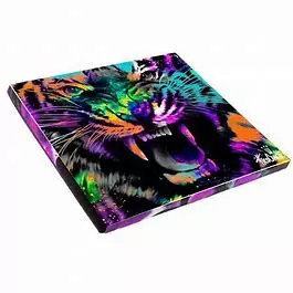 PREDATOR ALTO RELEVO