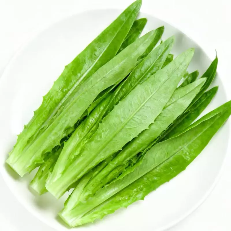 YOU MAI 油麦菜