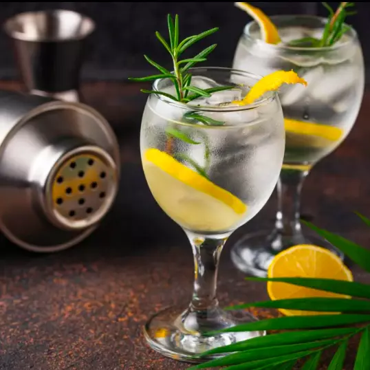 2X1 GIN TONIC