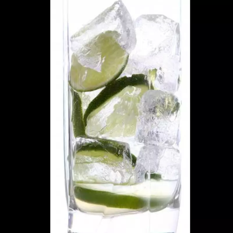 copo com limão e gelo