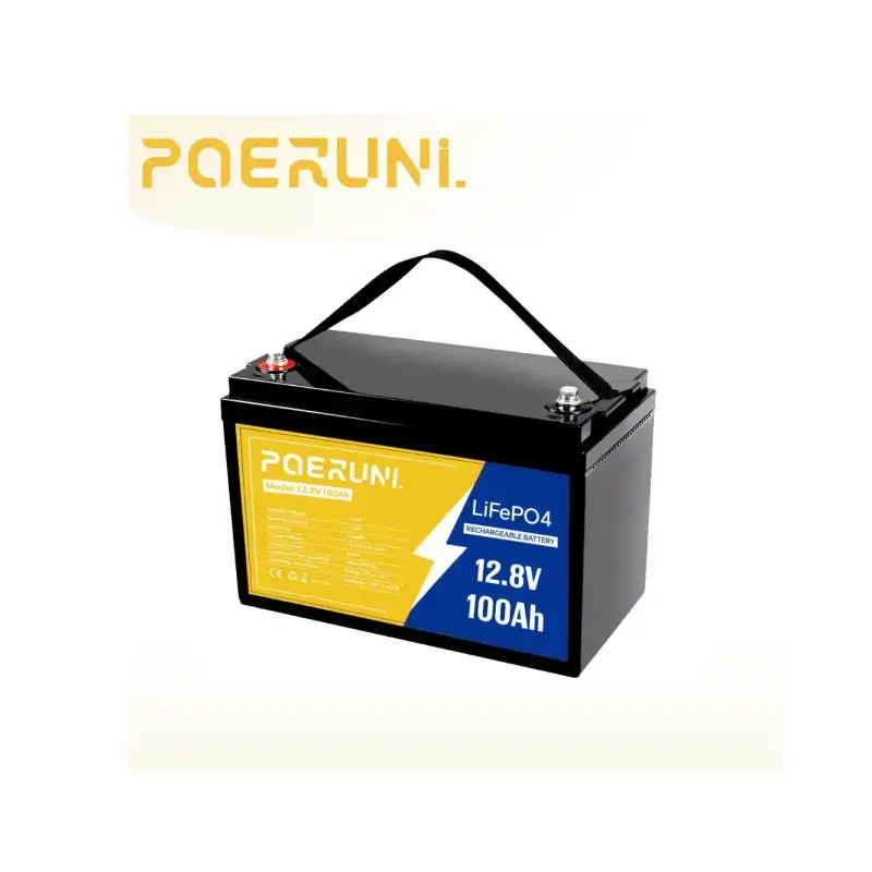 POERUNI 100Ah 12V Lithium LiFePO4