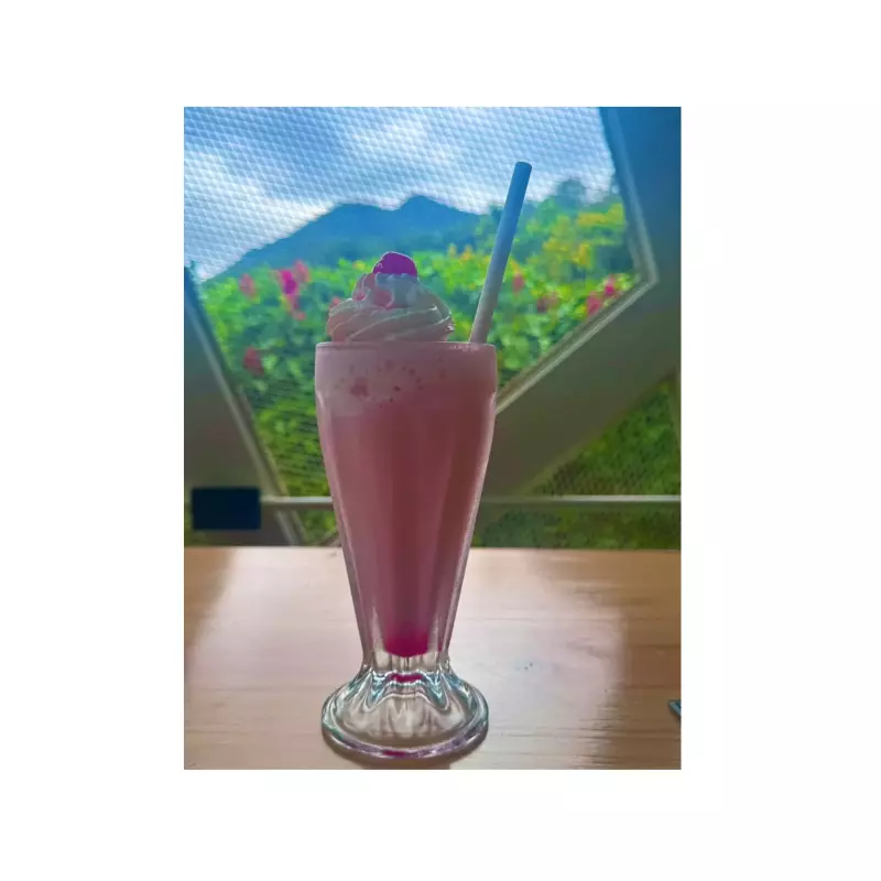 Malteadas- Milkshakes