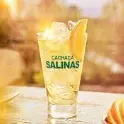 Dose cachaça Salinas