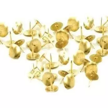 Percevejo Latonado - Kit