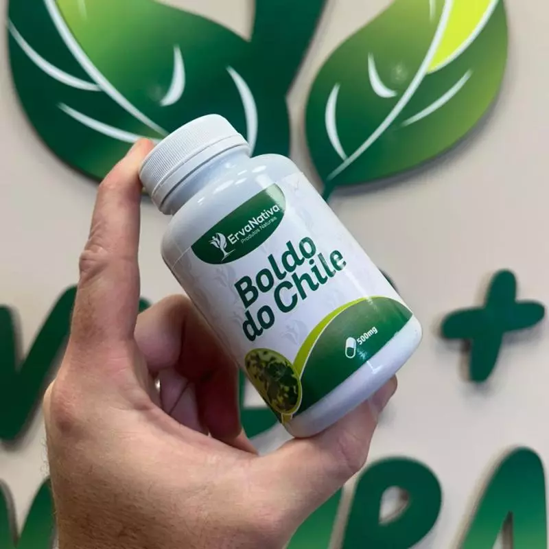 Boldo do Chile