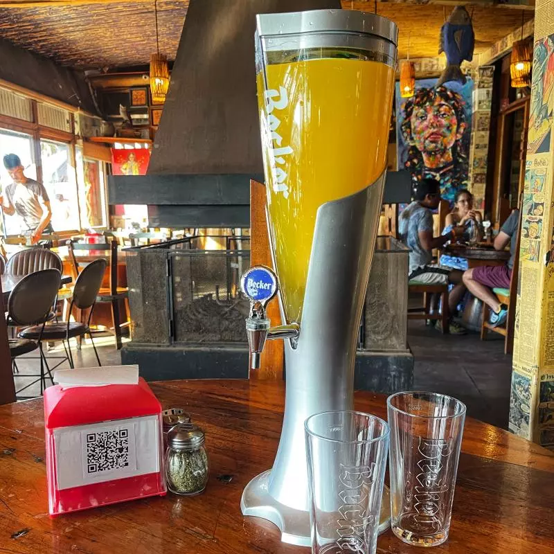 MEGA PITCHER AUSTRAL CALAFATE