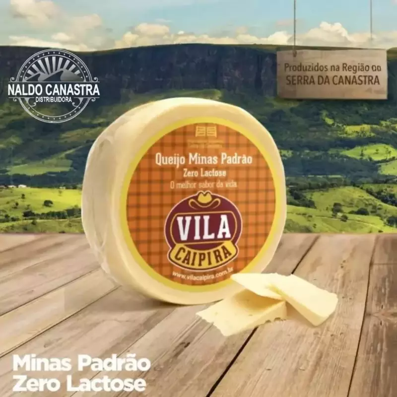 Minas Padrão Zero Lactose