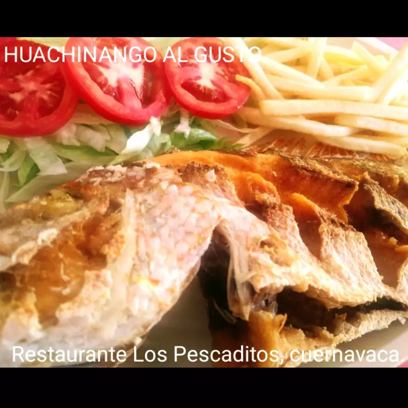 HUAUCHINANGO AL GUSTO