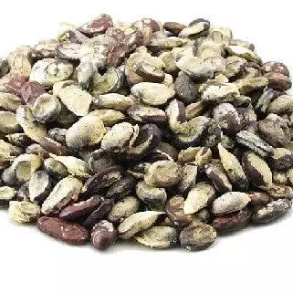 Semente de Umburana 25gr
