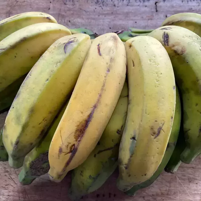 Banana Prata (Dirce)