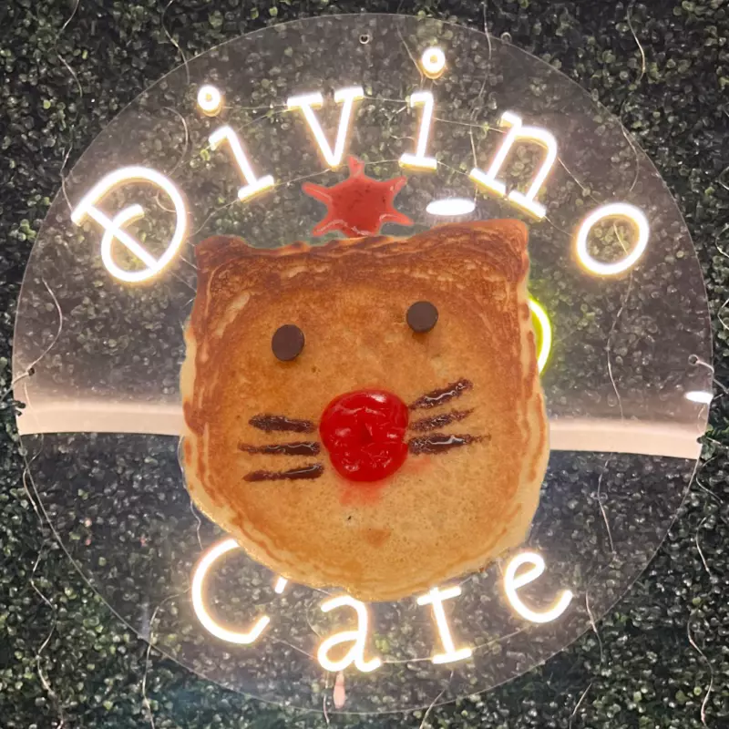 Michi hotcake