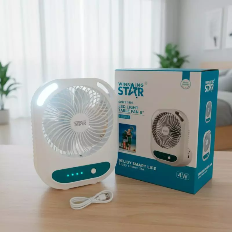VENTILADOR MESA WINNING STAR