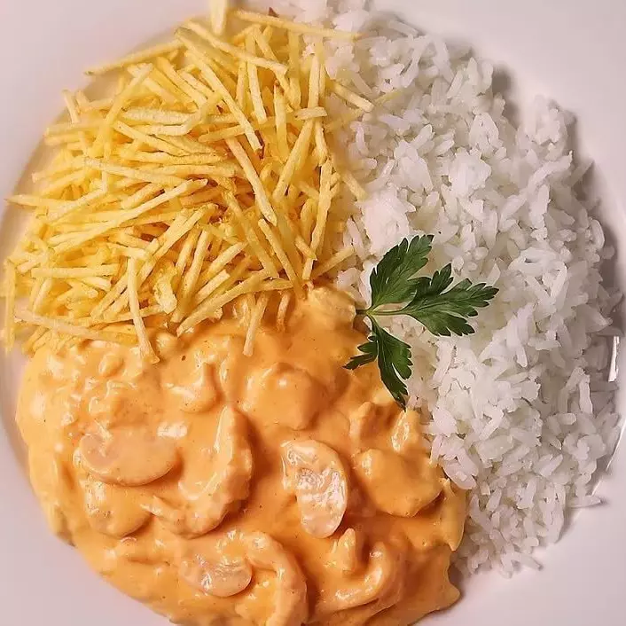 Strogonoff Frango exec.
