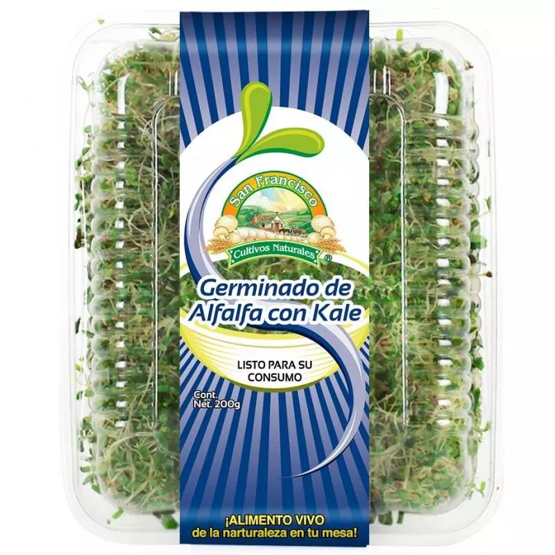 Germinado de Alfalfa con Kale