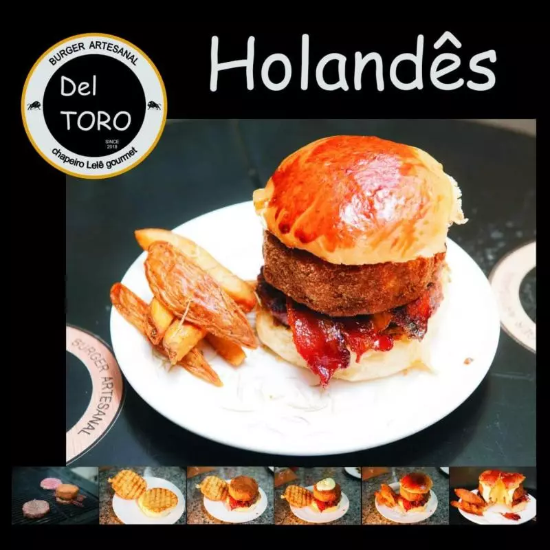 Del TORO Holandês (2)