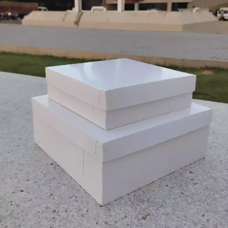 Caja Blanca Unicolor (Detal)