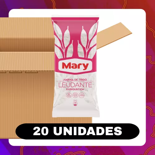 Bulto Mary Trigo Leudante 900g