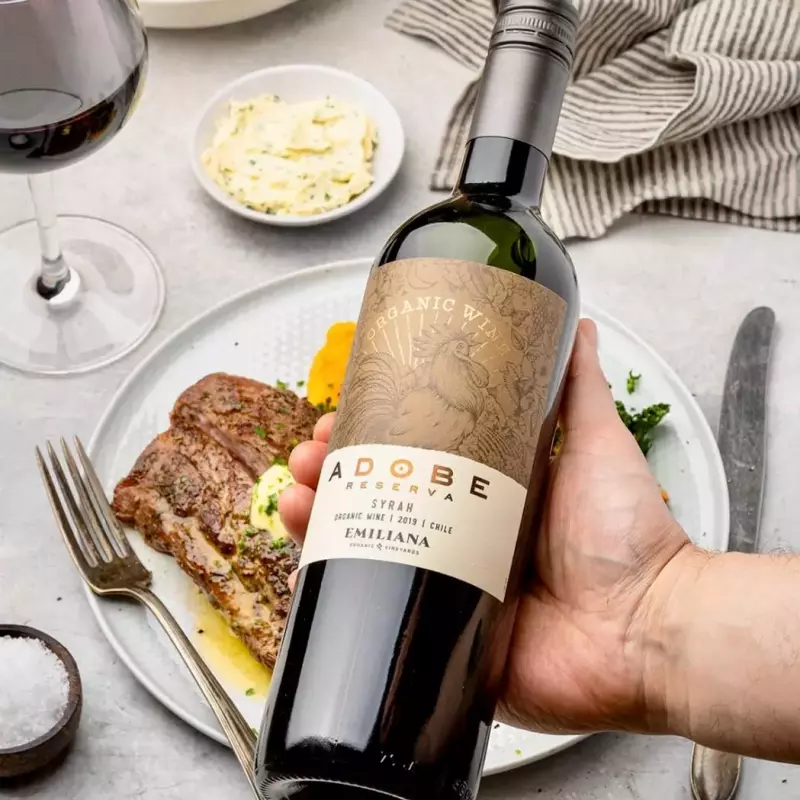 Vinho Chileno Syrah Reserva