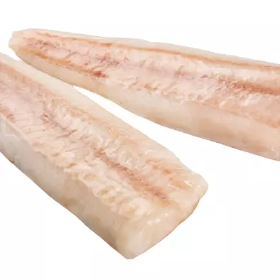 Filé de Caçonete