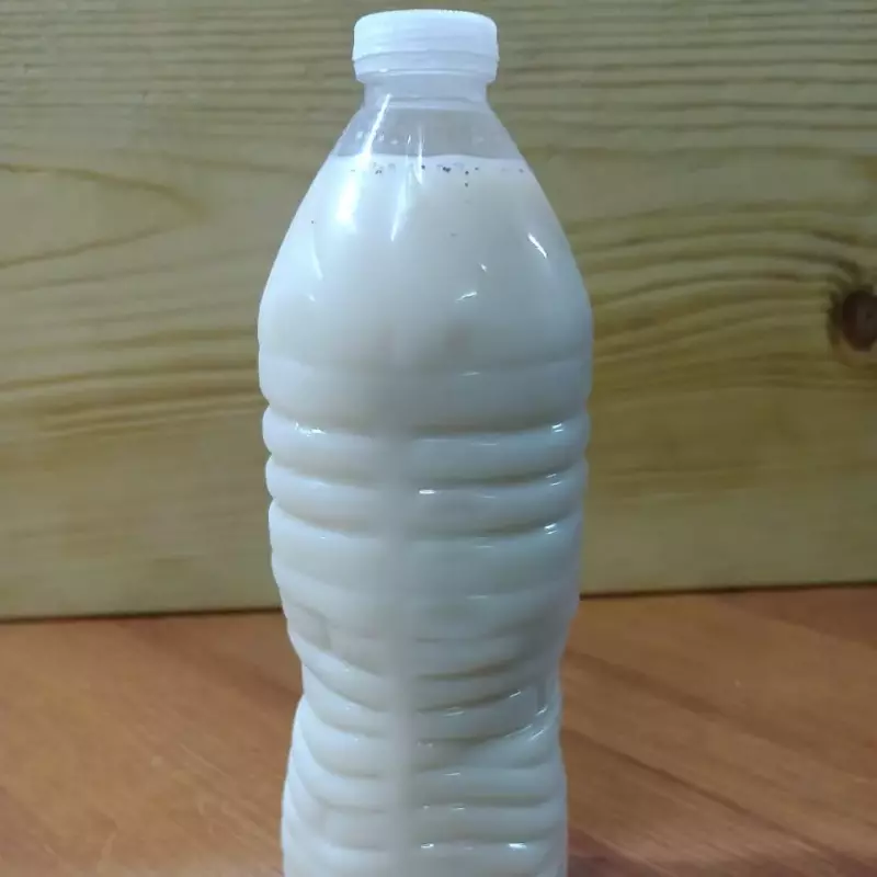 Horchata
