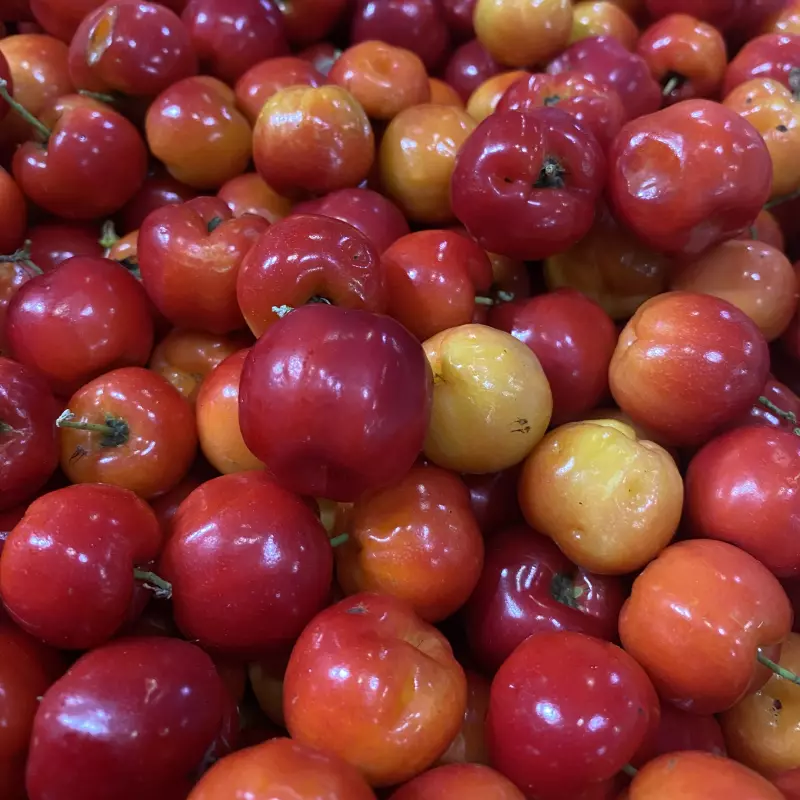 Acerola