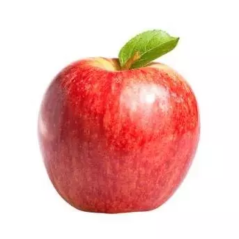Manzana Gala