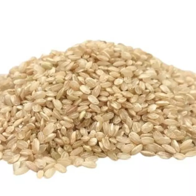 Arroz yamani integral