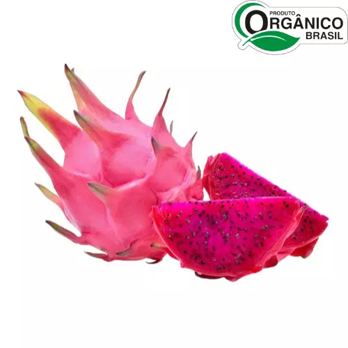 Pitaya Vermelha Orgânica Un