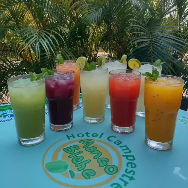 Jugos naturales en agua