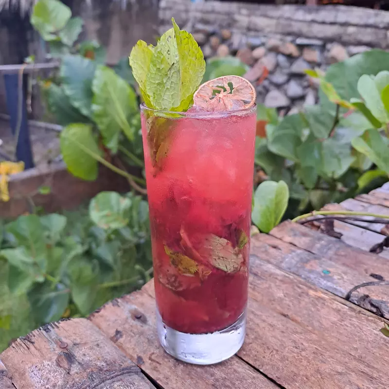 Mojito de Frutos Rojos