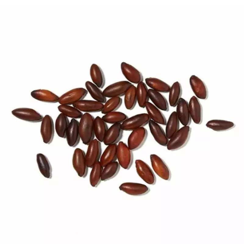 Castanha do Baru - 100g